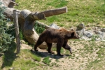 2019-06-Chenonceau-Beauval-104