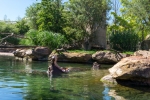 2019-06-Chenonceau-Beauval-115